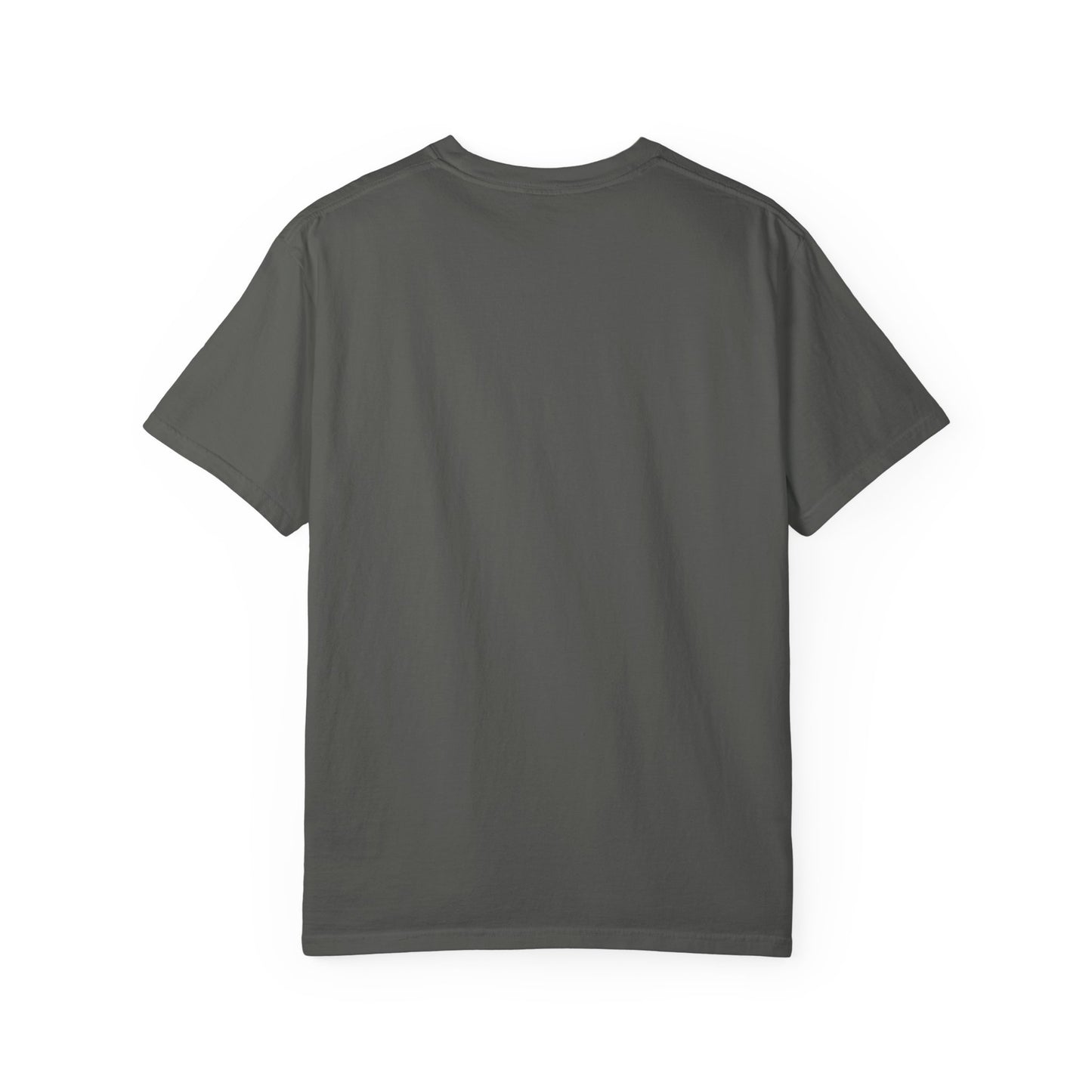 Heroic Panda T-shirt - Freedom, Eco-friendly Apparel, Casual Wear, Cute Gift for Animal Lovers